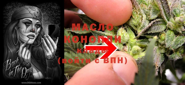 дмт Билибино